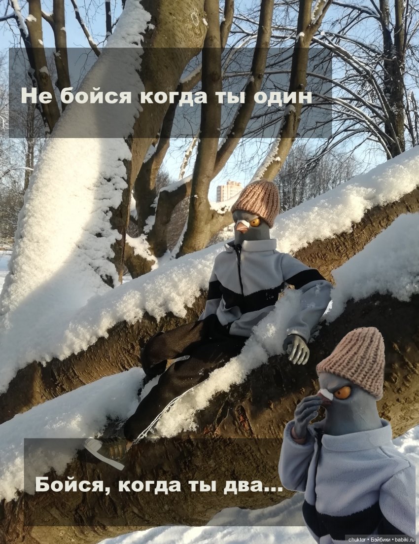 Зимнее сияние чёткого разума