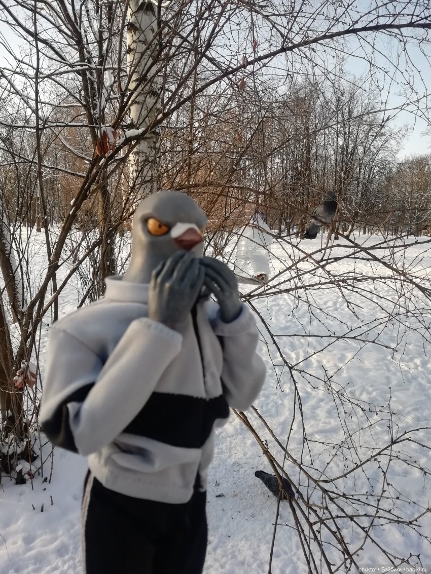 Зимнее сияние чёткого разума (фото 6)