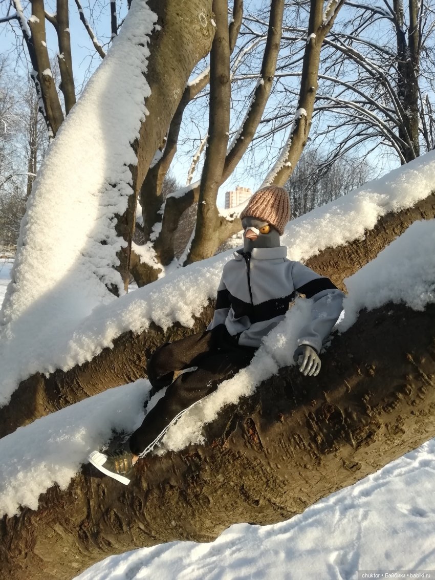 Зимнее сияние чёткого разума (фото 2)