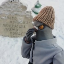 Зимнее сияние чёткого разума