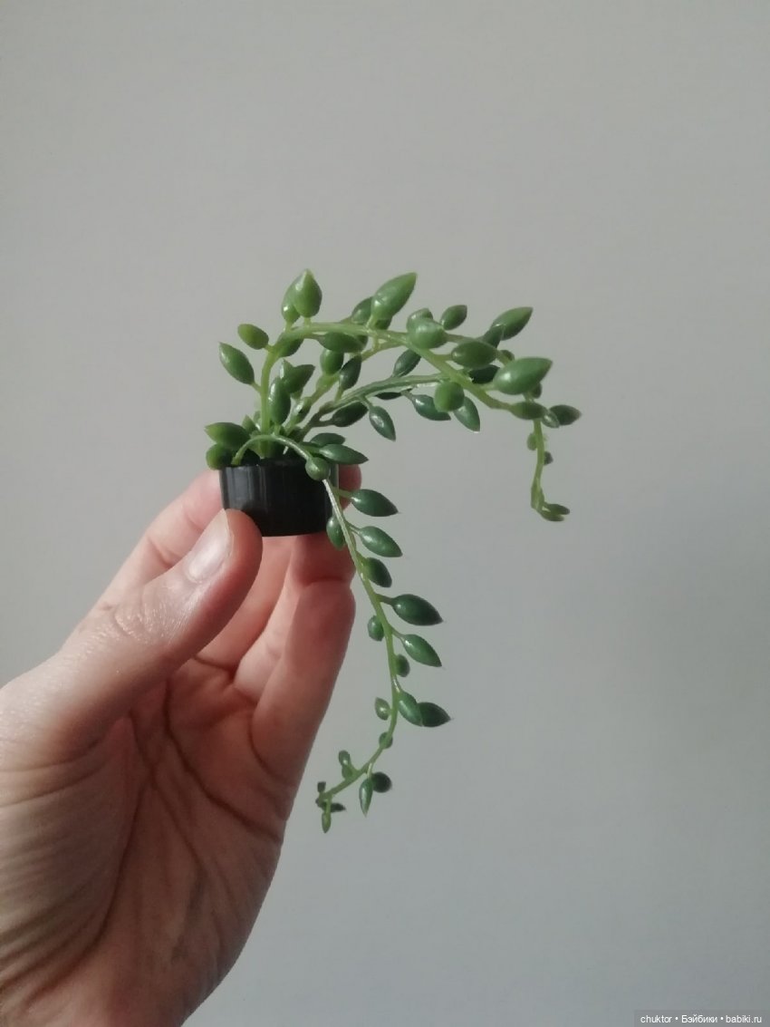 Диван для русалки или комната с драконами