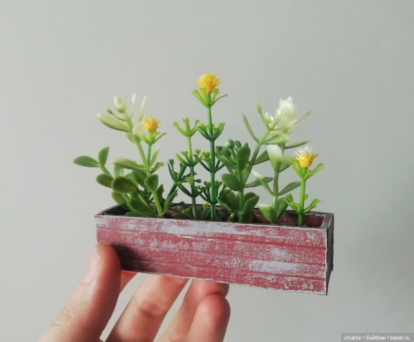 Лягушатник — Румбоксы и кукольная миниатюра: фото