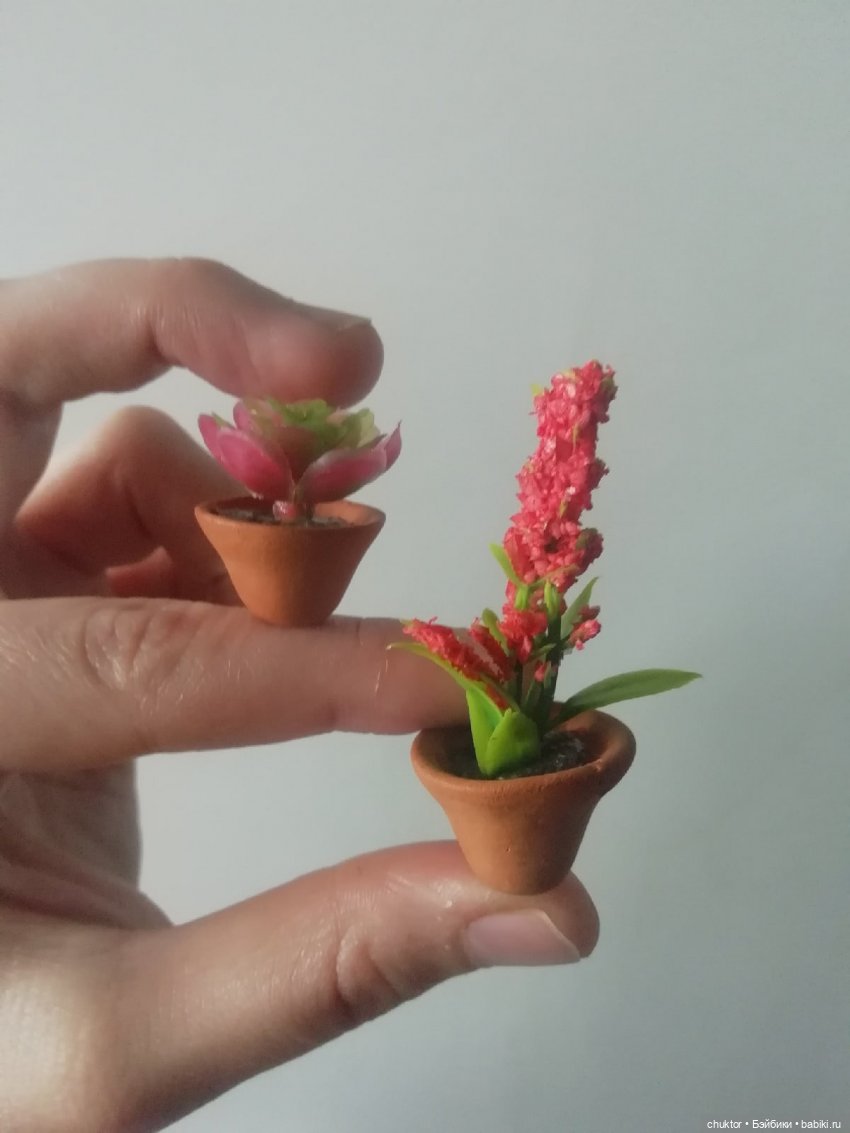 Лягушатник — Румбоксы и кукольная миниатюра: фото