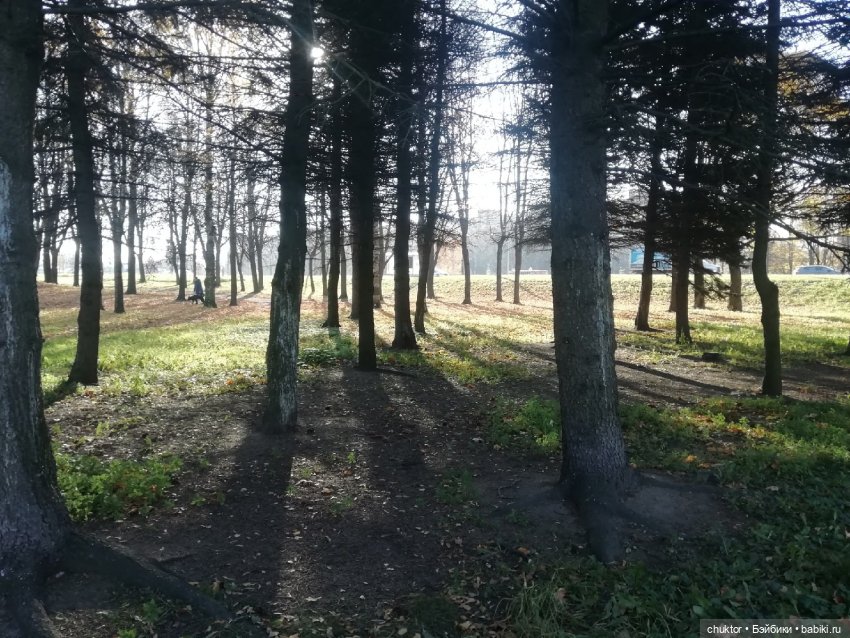 Сюрреализм, листья и улитки