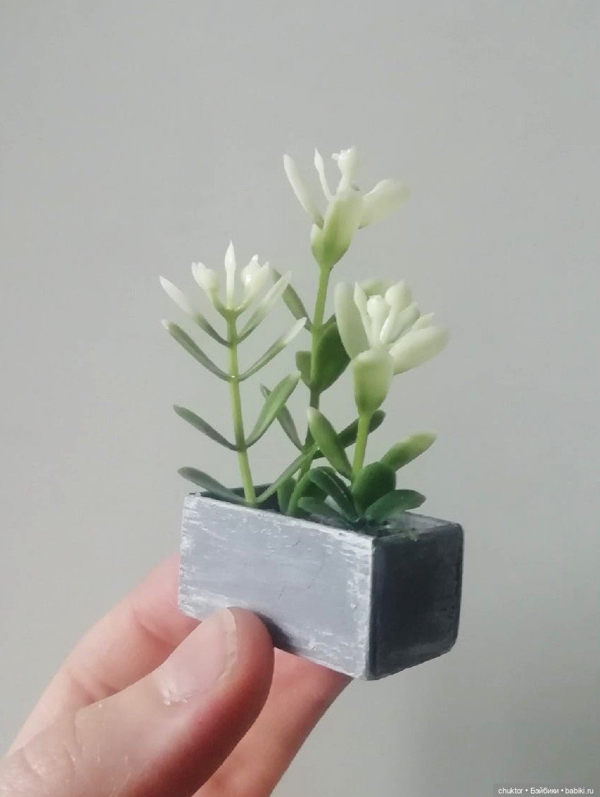 Сюрреализм, листья и улитки