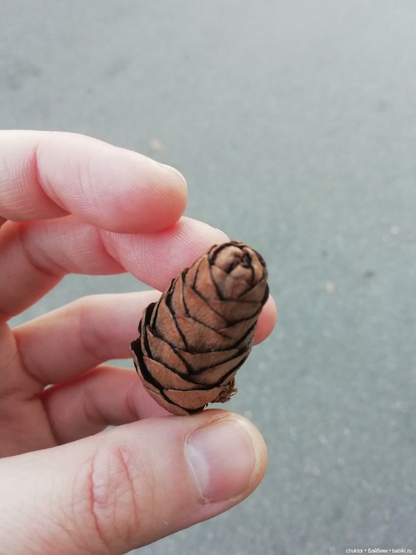 Сюрреализм, листья и улитки (фото 5)