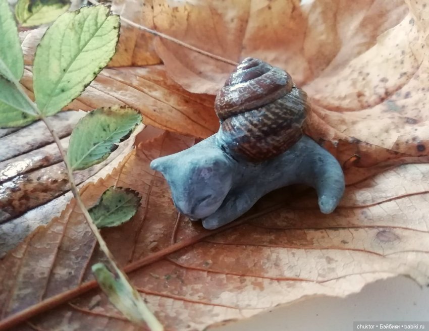 Осенняя охота на котулиток (фото 6)