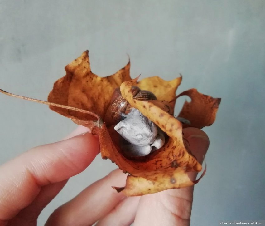 Осенняя охота на котулиток