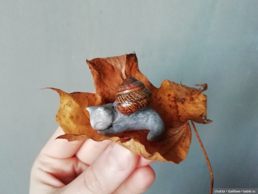 Осенняя охота на котулиток