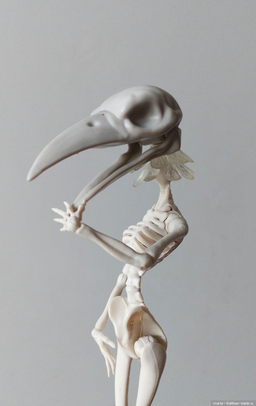 Эксперименты — Куклы Monster High и Ever After High: G1 (фото 6)