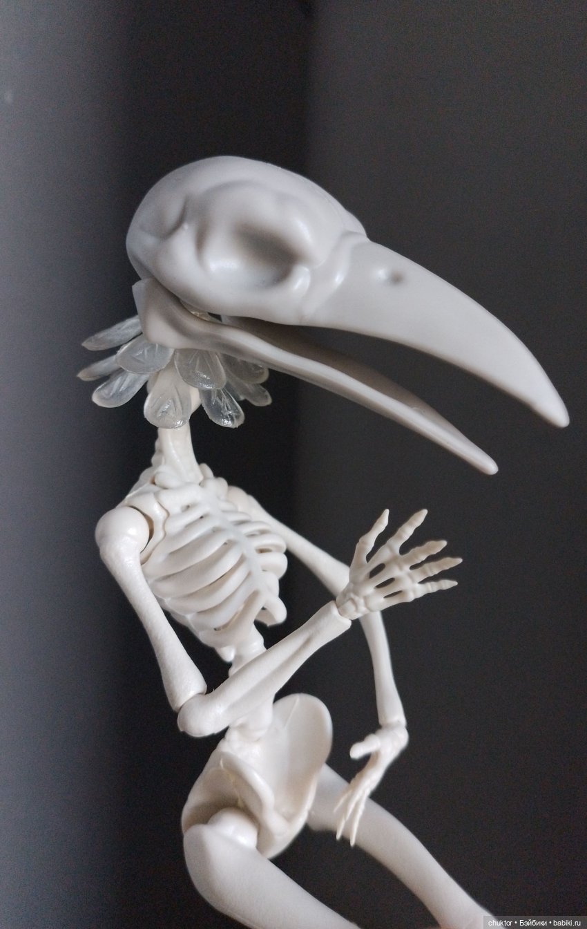 Эксперименты — Куклы Monster High и Ever After High: G1 (фото 4)