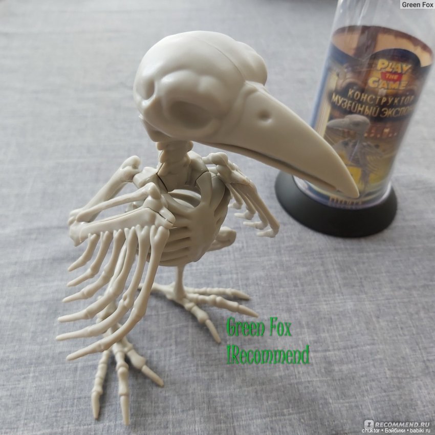 Эксперименты — Куклы Monster High и Ever After High: G1