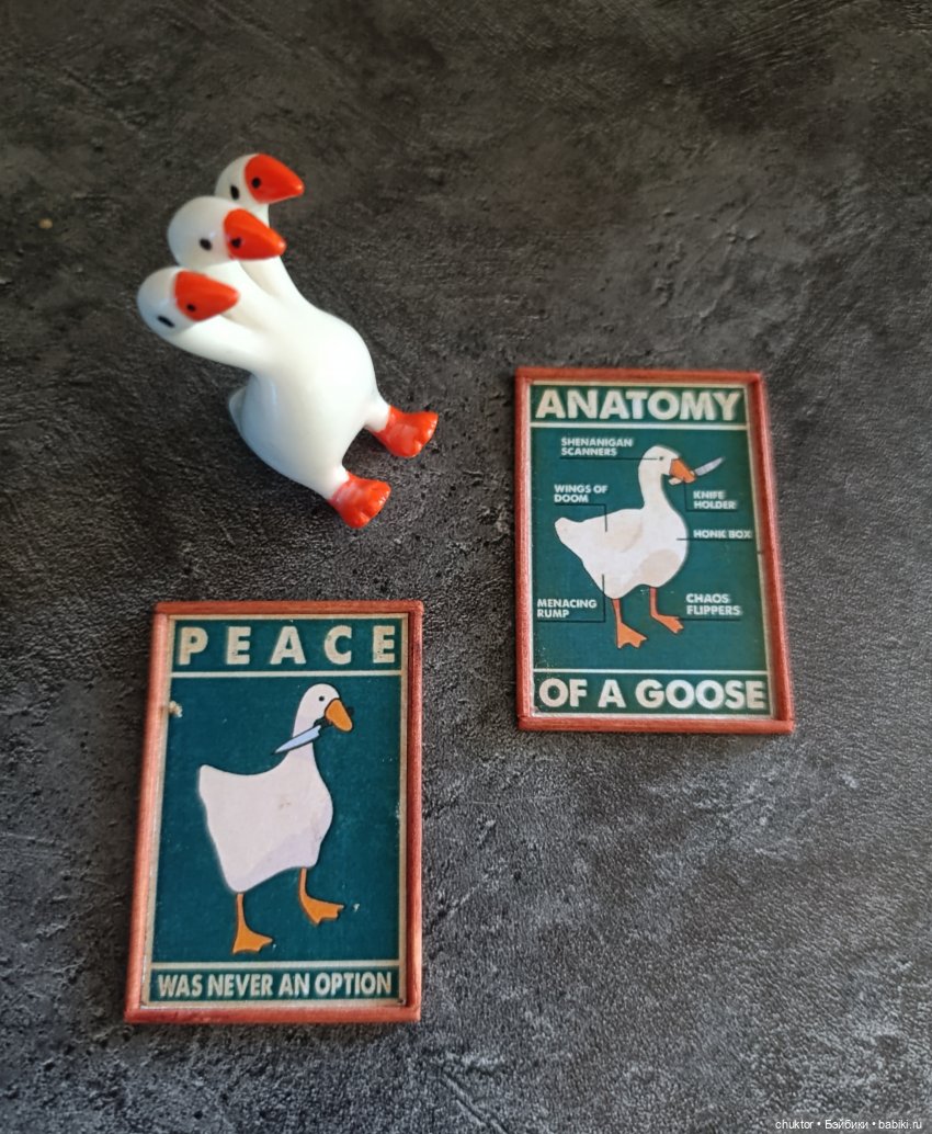 Гусиный приют | Бэйбики Гусиный приют — Румбоксы и кукольные интерьеры: фото