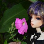 Моя любимая ведьма Исса