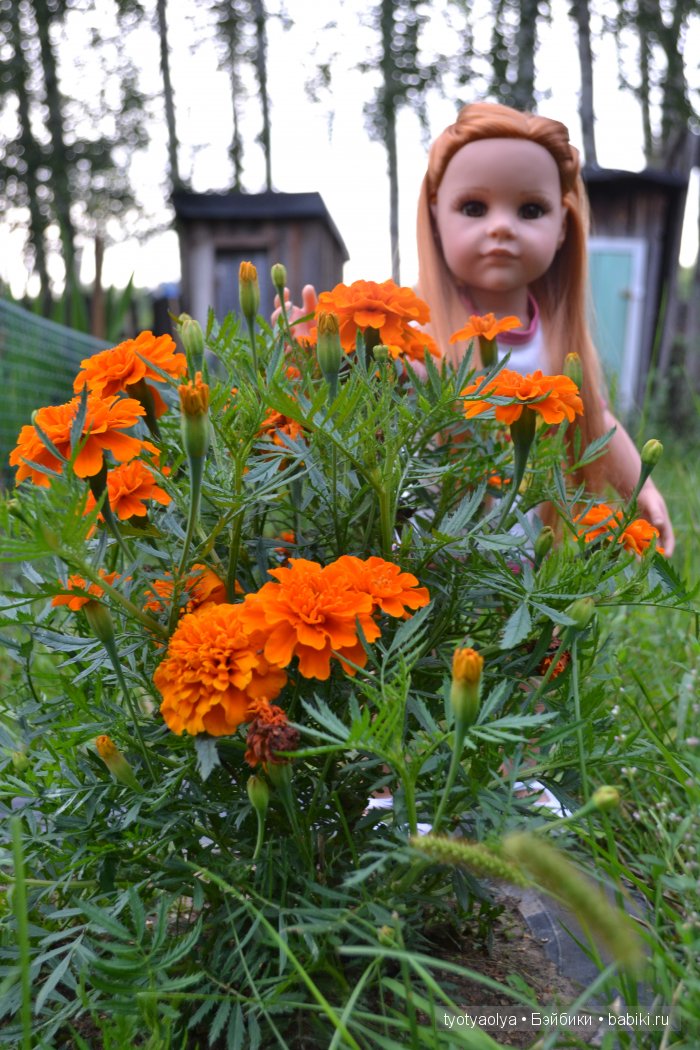 Как мы летом отдыхали. Часть 1. Куклы Готц и Паола Рейна