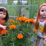 Как мы летом отдыхали. Часть 1. Куклы Готц и Паола Рейна