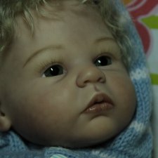 Данька из молдика Шеннон от Энн Тиммерман