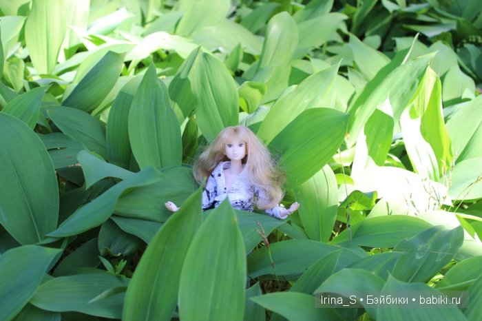 Приключения Йоко Кин. Часть 4. Первое барбекю