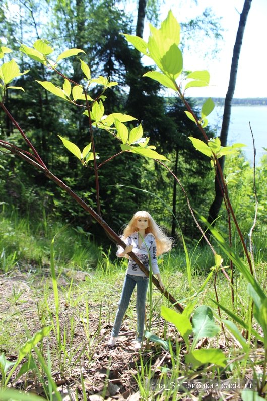 Приключения Йоко Кин. Часть 4. Первое барбекю (фото 3)