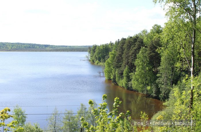 Приключения Йоко Кин. Часть 4. Первое барбекю (фото 2)