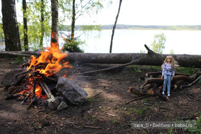 Приключения Йоко Кин. Часть 4. Первое барбекю (фото 6)