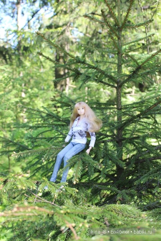 Приключения Йоко Кин. Часть 4. Первое барбекю