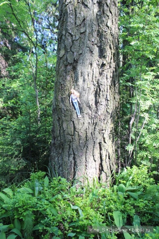 Приключения Йоко Кин. Часть 4. Первое барбекю (фото 9)