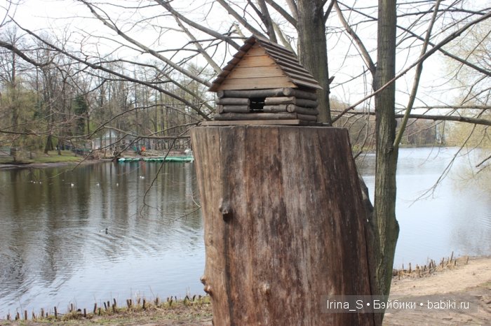 Приключения Йоко Кин, Момоко. Часть 2. Первомайская прогулка (фото 3)