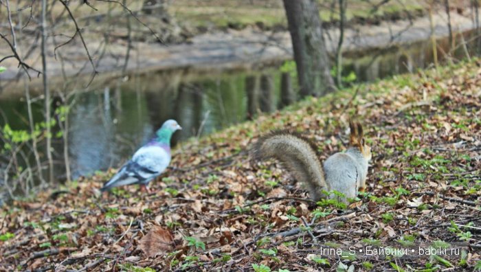 Приключения Йоко Кин, Момоко. Часть 2. Первомайская прогулка