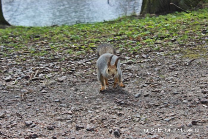 Приключения Йоко Кин, Момоко. Часть 2. Первомайская прогулка