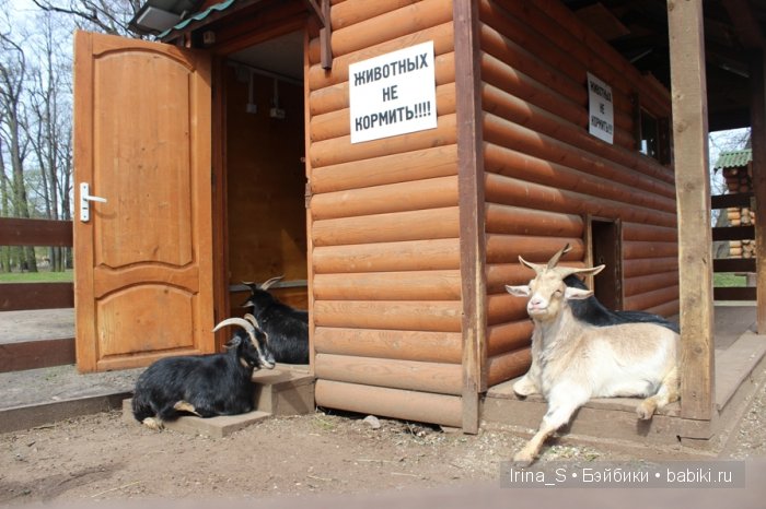 Приключения Йоко Кин, Момоко. Часть 2. Первомайская прогулка (фото 9)