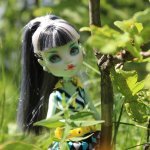 Лето Фрэнки (ООАК Monster High)