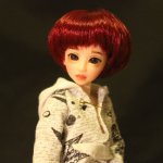 Дело было вечером, или фотосессия для Эрики (Obitsu 23 sm + Nano Haruka)