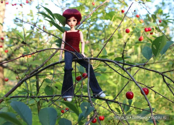 Лето Эрики (Obitsu 23 sm + Nano Haruka). Сады (фото 6)