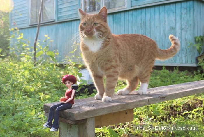 Лето Эрики (Obitsu 23 sm + Nano Haruka). Сады (фото 9)