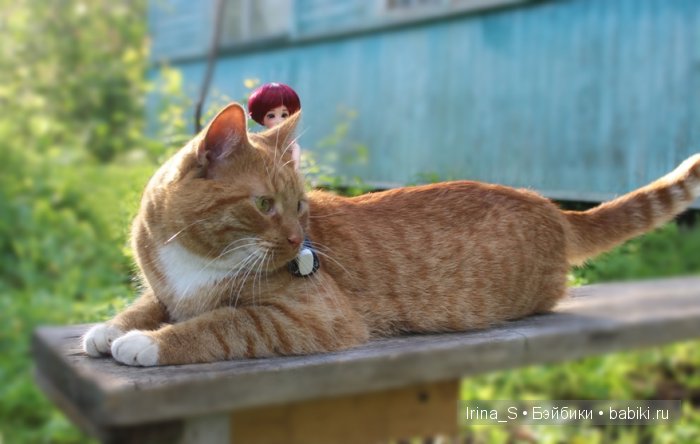 Лето Эрики (Obitsu 23 sm + Nano Haruka). Сады