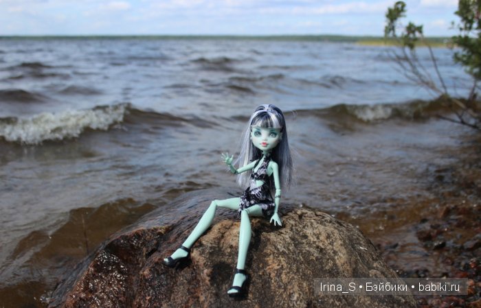 Лето Фрэнки (ООАК Monster High). Часть 2 (фото 4)