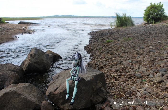 Лето Фрэнки (ООАК Monster High). Часть 2 (фото 7)