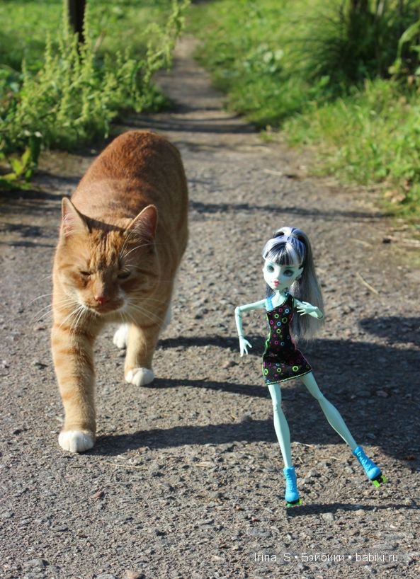 Лето Фрэнки (ООАК Monster High). Часть 2