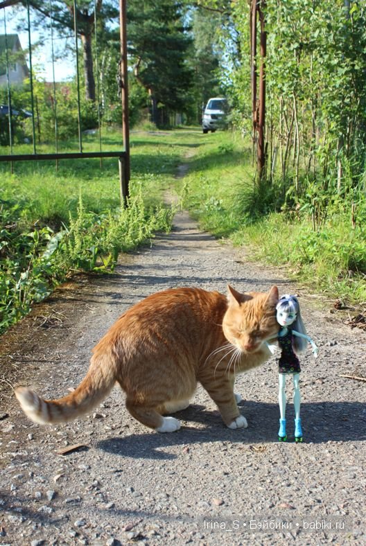 Лето Фрэнки (ООАК Monster High). Часть 2