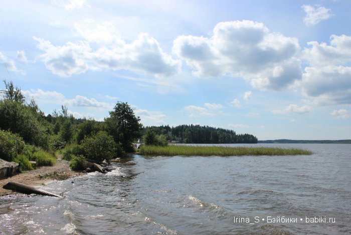 Лето Фрэнки (ООАК Monster High). Часть 2