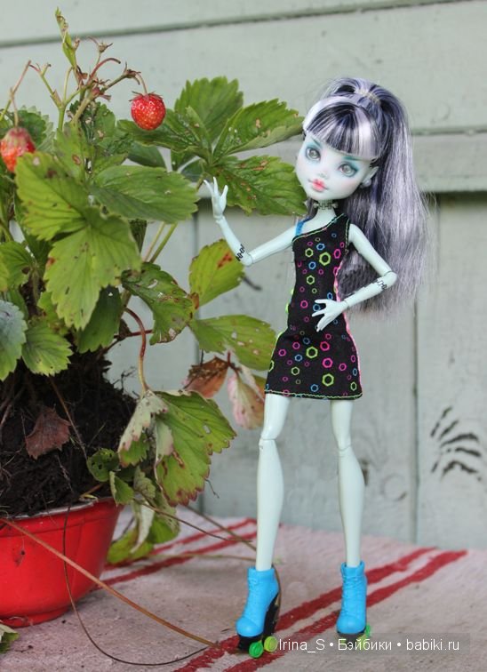 Лето Фрэнки (ООАК Monster High). Часть 2