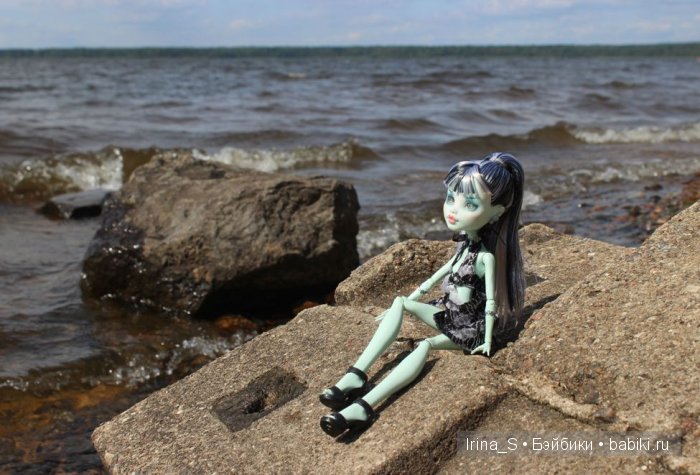 Лето Фрэнки (ООАК Monster High). Часть 2 (фото 9)
