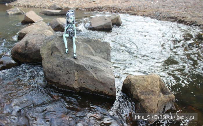 Лето Фрэнки (ООАК Monster High). Часть 2 (фото 6)