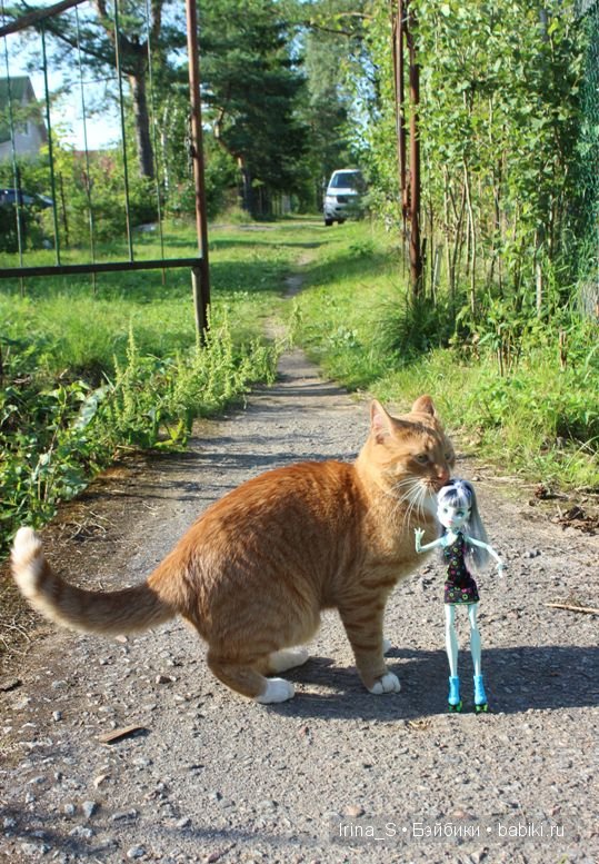 Лето Фрэнки (ООАК Monster High). Часть 2