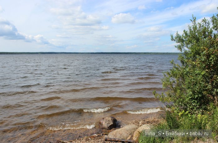 Лето Фрэнки (ООАК Monster High). Часть 2 (фото 3)