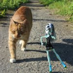 Лето Фрэнки (ООАК Monster High). Часть 2