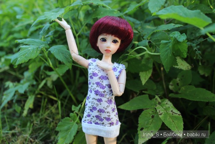 Август — Куклы и тела Obitsu (Обитсу): 1/6