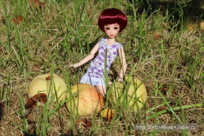 Август — Куклы и тела Obitsu (Обитсу): 1/6 (фото 4)