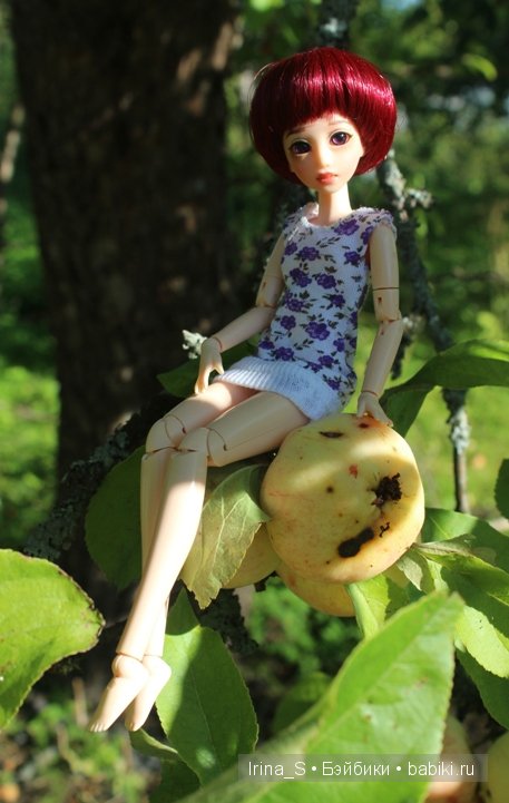 Август — Куклы и тела Obitsu (Обитсу): 1/6 (фото 2)